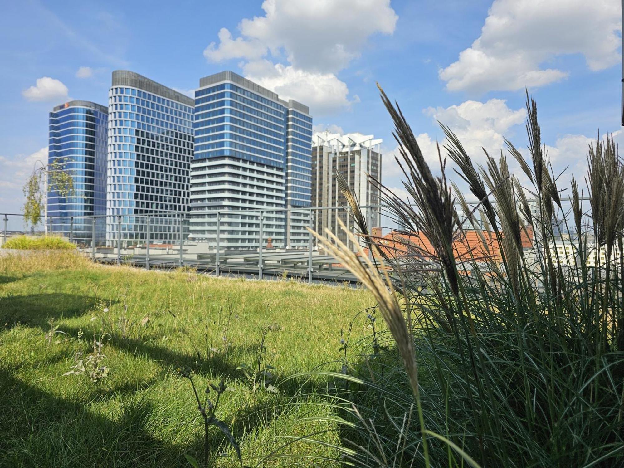 Urban Apartments Premium, Opolska 10 No 36, Free Garage, Self Check-In Katowice Esterno foto